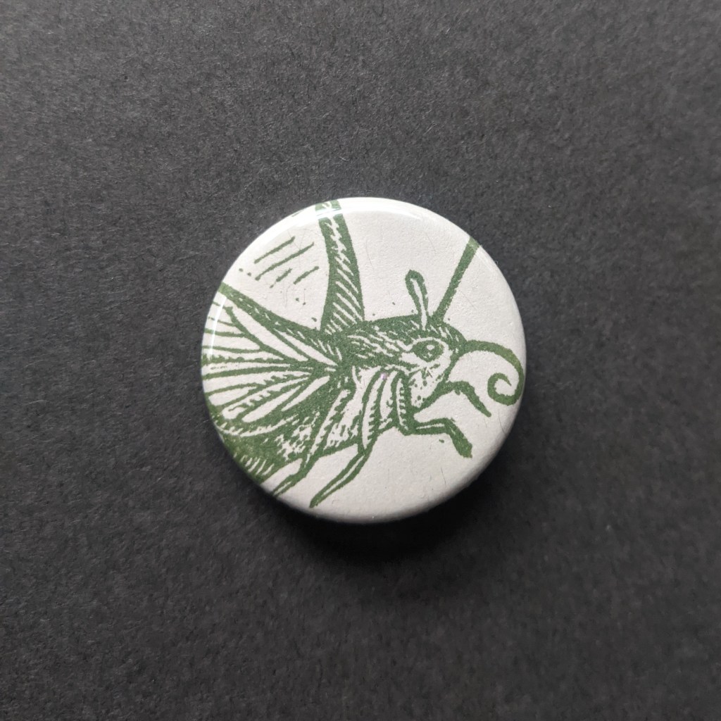 stamped button of a hummingbird moth